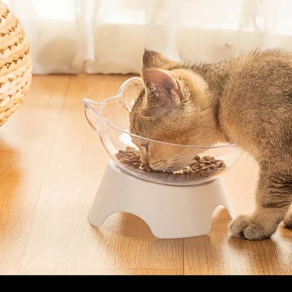 5/$25 cat face shaped elevated Pet bowl, brand new comes apart for easy cleaning - Picture 6 of 9